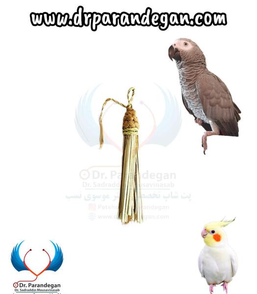 عکس وسایل های طوطی