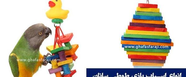 عکس وسایل های طوطی