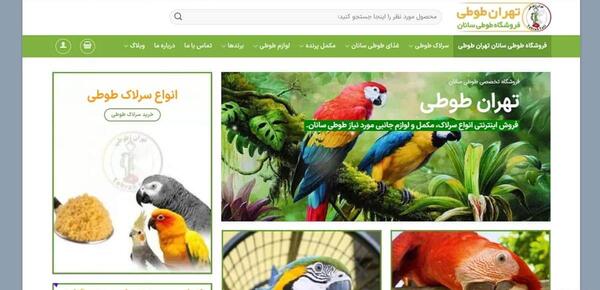 عکس وسایل های طوطی