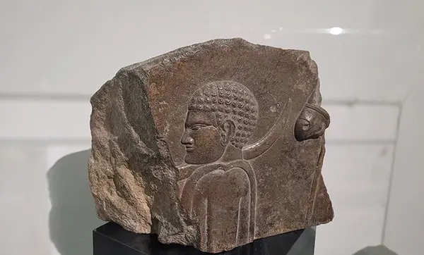 عکس وسایل باستان شناسی