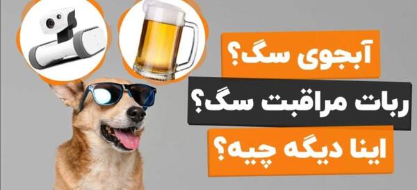 عکس وسایل سگ پامرین