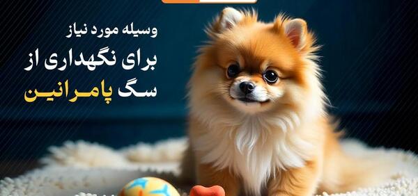 عکس وسایل سگ پامرین