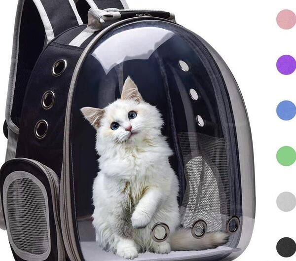 عکس وسایل گربه خانگی