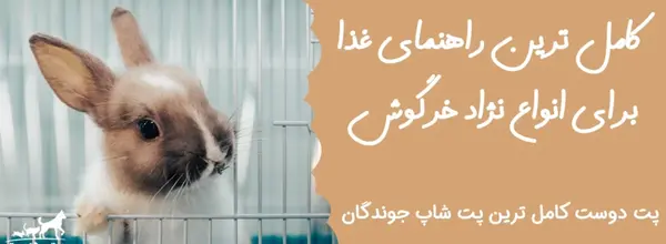 عکس وسایل مورد نیاز خرگوش