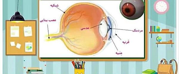 عکس داخل چشم کلاس پنجم