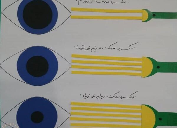 عکس داخل چشم کلاس پنجم