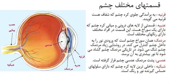 عکس داخل چشم کلاس پنجم