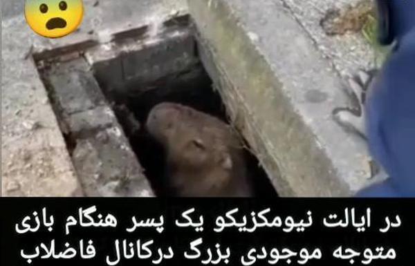 عکس داخل چاه دستشویی