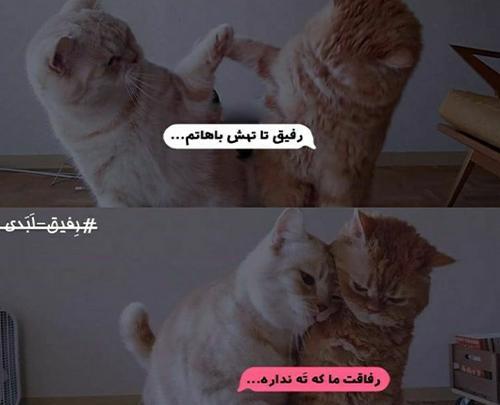 عکس پروفایل ست رفیقی