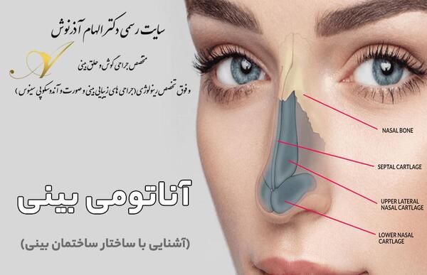 عکس داخل دماغ آدم