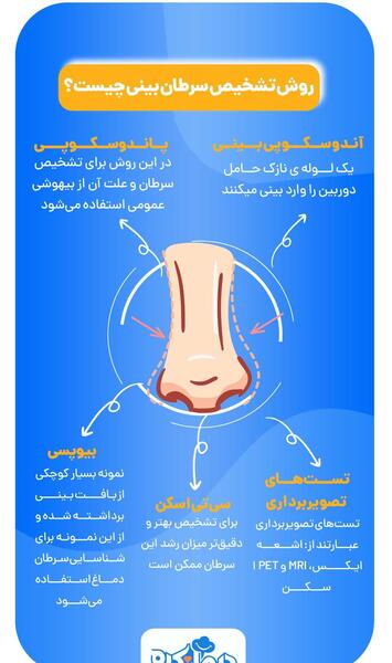 عکس داخل دماغ انسان