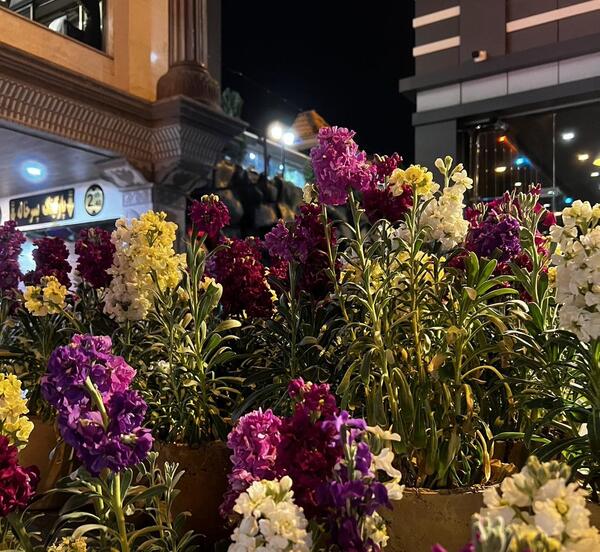 عکس داخل رستوران پسرخاله هشتگرد