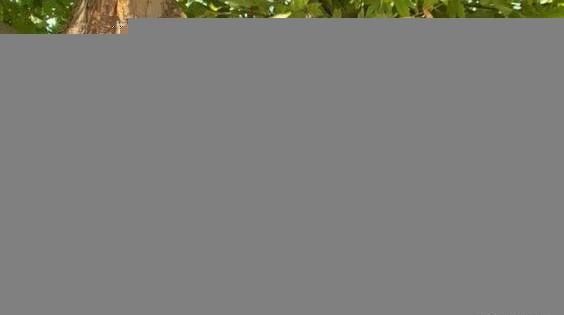 عکس فیک دختر و پسر در کافه