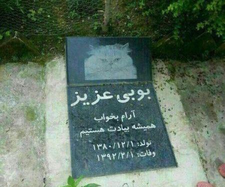 عکس داخل قبرستان
