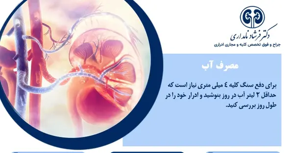 عکس سنگ کلیه خاردار