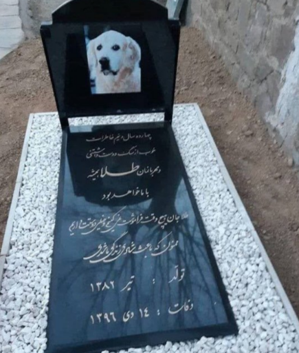 عکس سنگ قبر پدر علی دایی