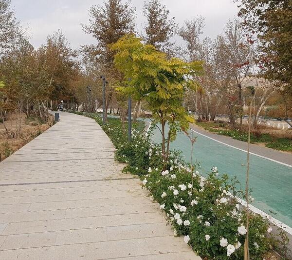 عکس پیاده روی سلامت شیراز