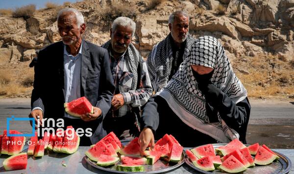 عکس پیاده روی شهادت امام رضا