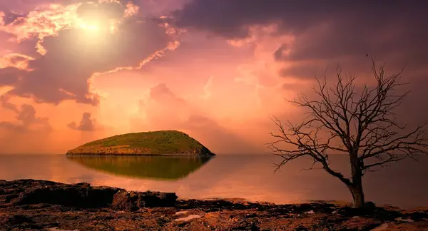 خاص عکس سنگ برای پروفایل