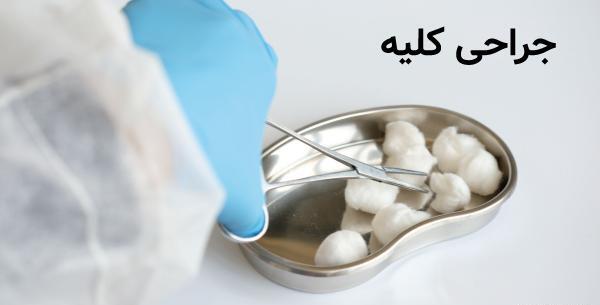 عکس بزرگترین سنگ کلیه جهان