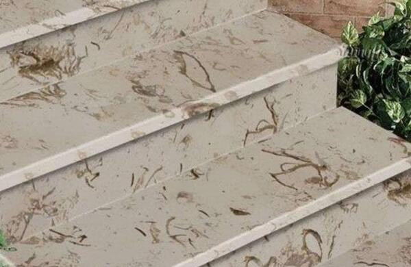 عکس سنگ پله پرطاووسی