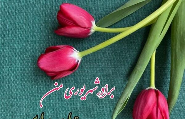 عکس تولدت مبارک خواهر شهریوری