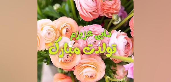 عکس تولدت مبارک دایی جون