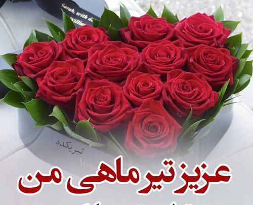 عکس تولدت مبارک تیرماهی