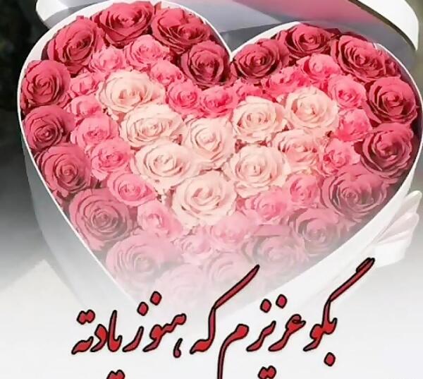 عکس تولدت مبارک همسر تیر ماهی