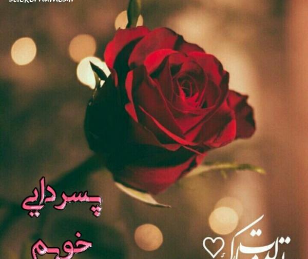 عکس تولدت مبارک پسر دایی عزیزم
