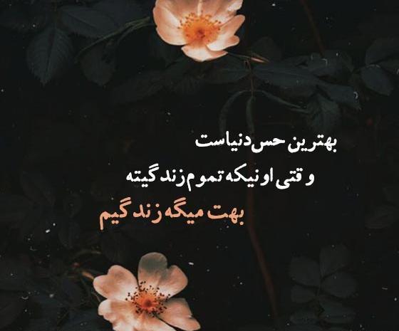 عکس متنی همسرم