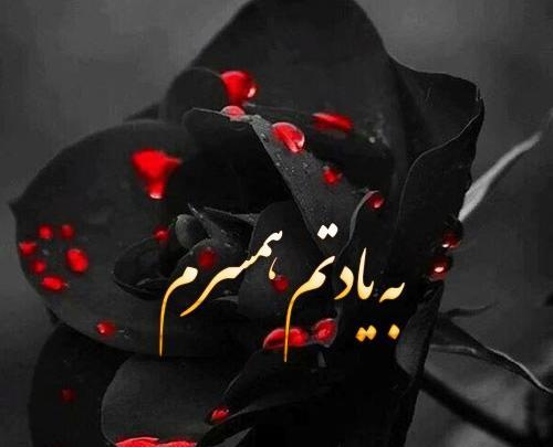 عکس دلتنگتم همسرم