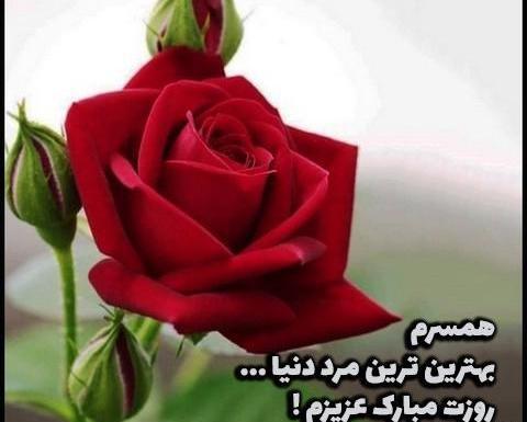 عکس پروفایل همسرم روزت مبارک