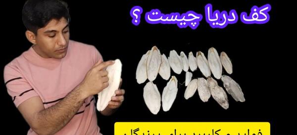 عکس سنگ کف دریا