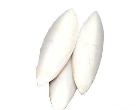 عکس سنگ کف دریا