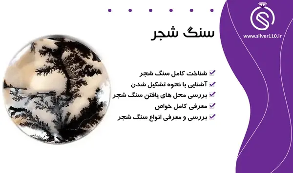 عکس سنگ شجر دریایی