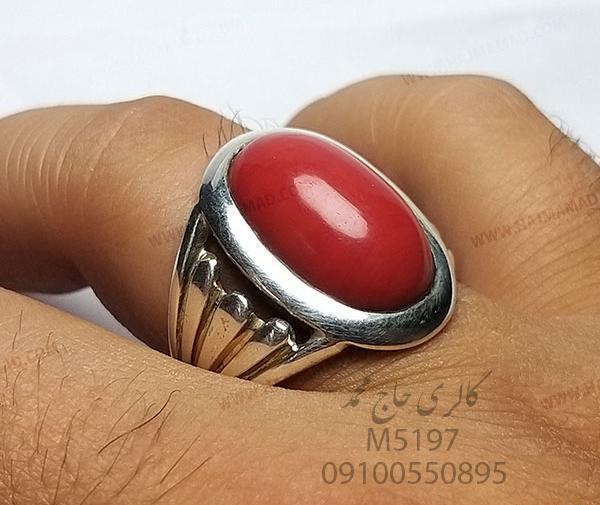 عکس سنگ مرجان دریایی