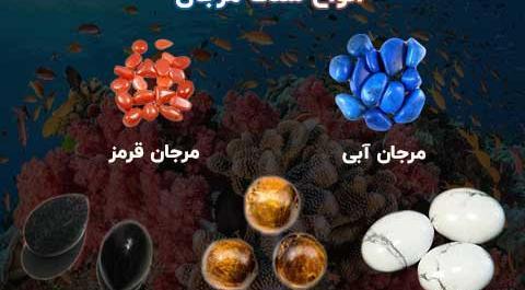 عکس سنگ مرجان دریایی