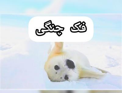 عکس سنگدل بودن