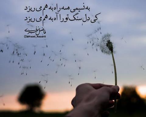 عکس نوشته سنگدلی