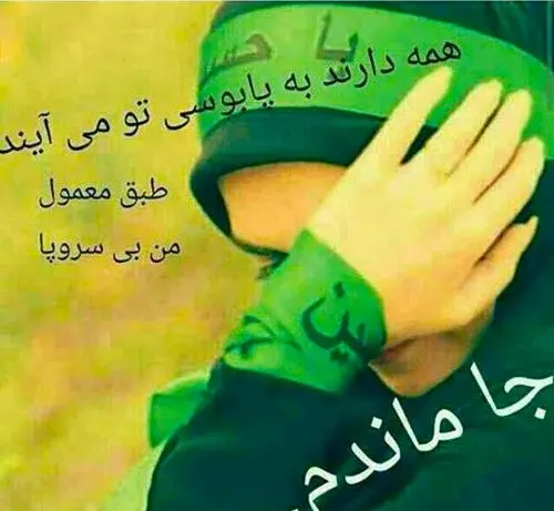 عکس نوشته اربعین کربلایم نبری میمیرم