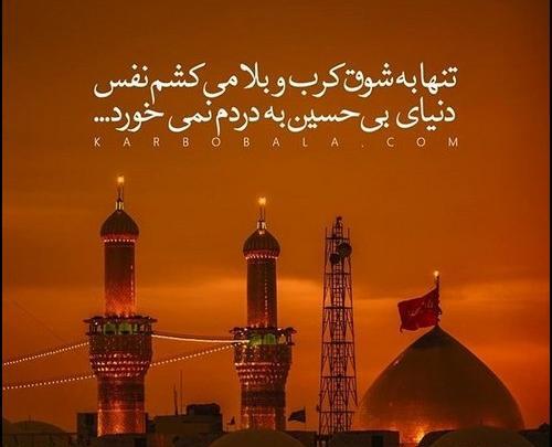 عکس پروفایل زائران اربعین
