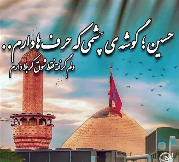 زیباترین عکس اربعین