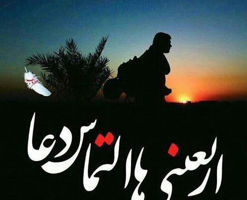 زیباترین عکس اربعین