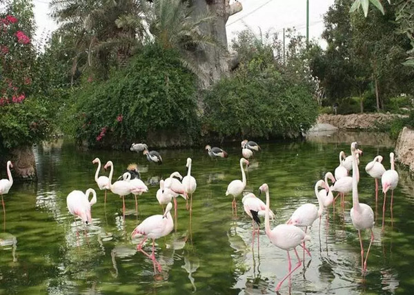 عکس جای دیدنی مشهد