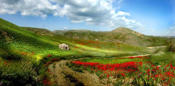 عکس جای دیدنی مشهد