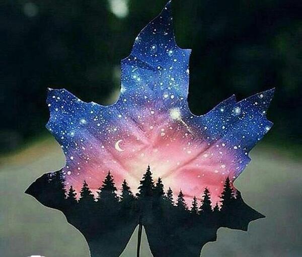 عکس زیبا و دیدنی