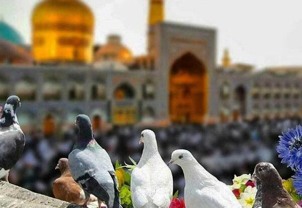 عکس دیدنی های شهر مشهد