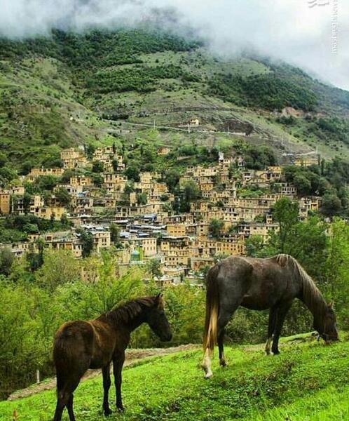 عکس های دیدنی ماسوله