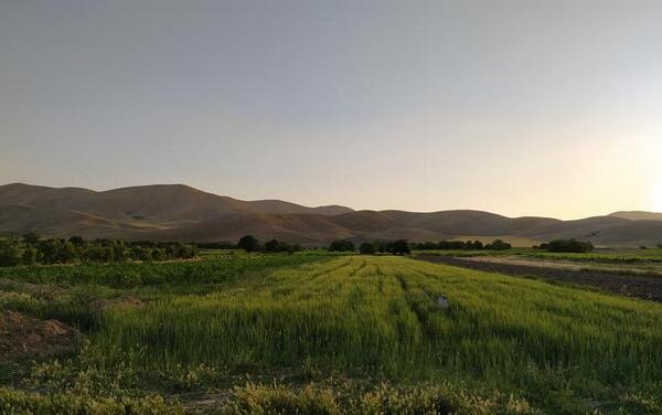 عکس مکان های دیدنی ملایر